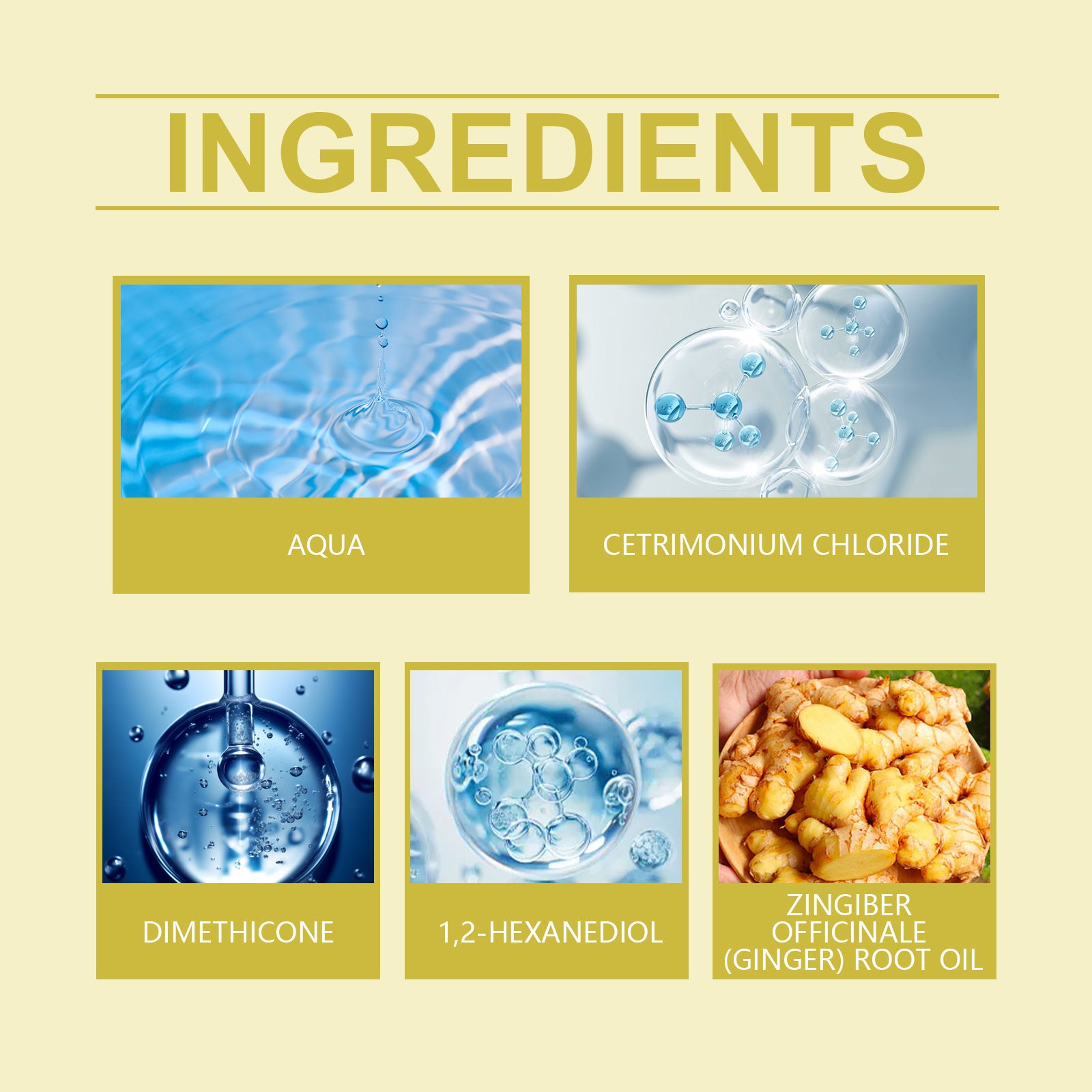 EELHOE Ginger Rosemary Conditioner Repairs Dry Hair, Moisturizes Hair Strands, Smooths Hair And Reduces Frizz